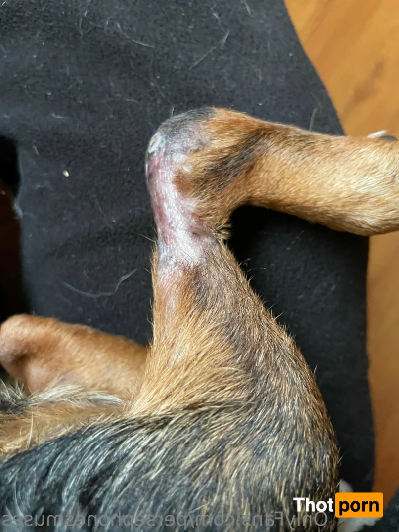 Perse ✨💗 10991728