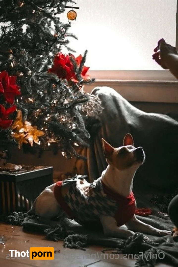 Perse ✨💗 10995914