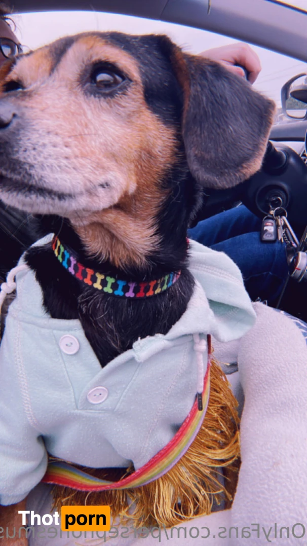 Perse ✨💗 11004314