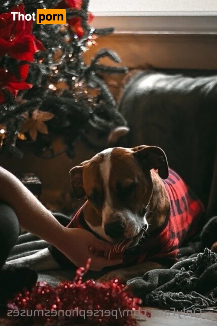 Perse ✨💗 14963436