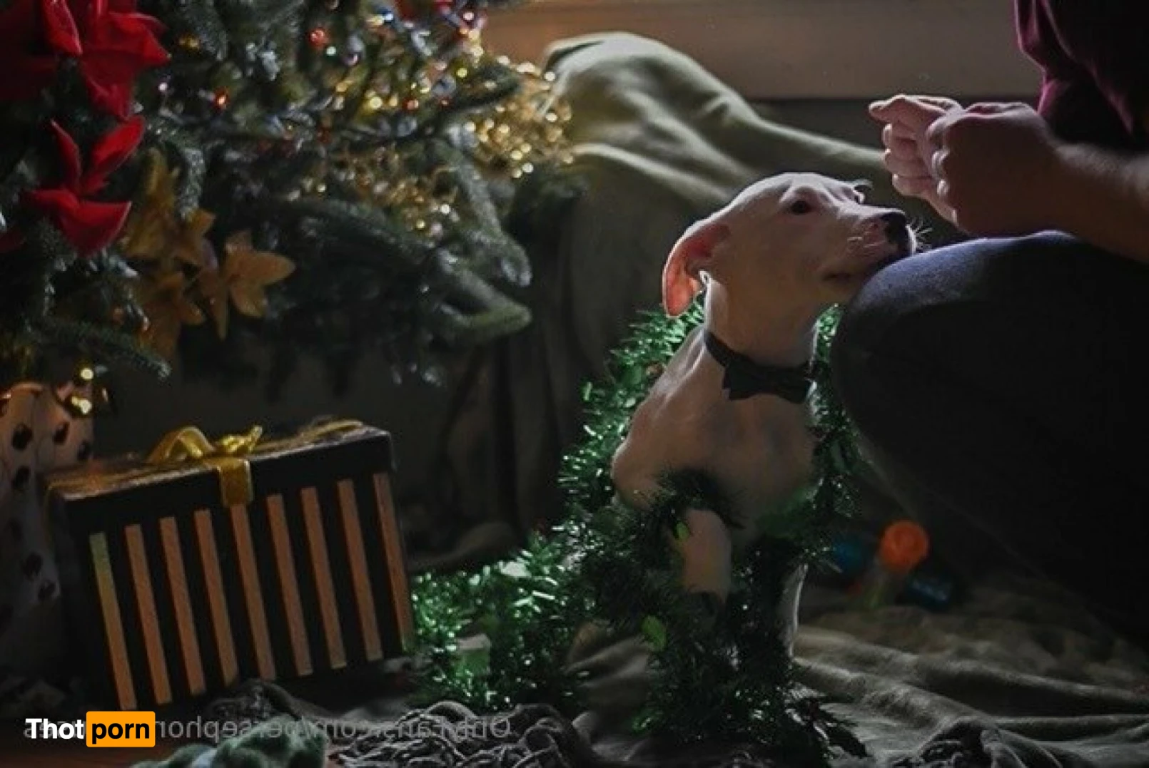 Perse ✨💗 14963453