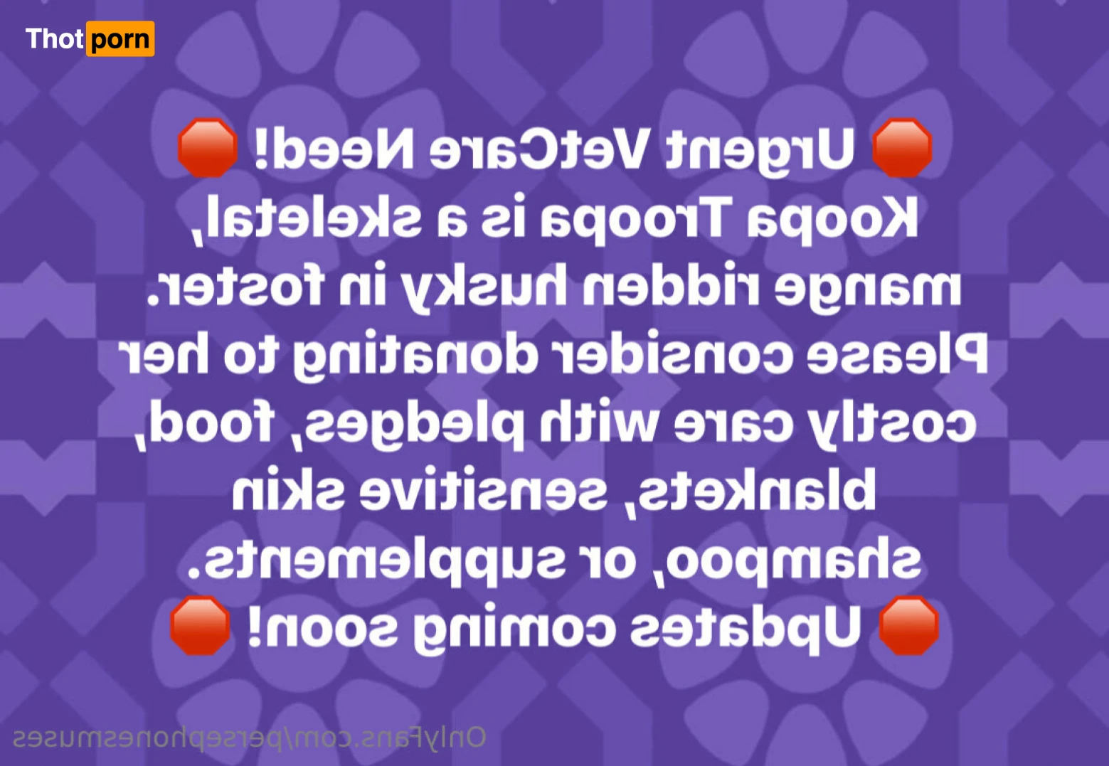 Perse ✨💗 14963513