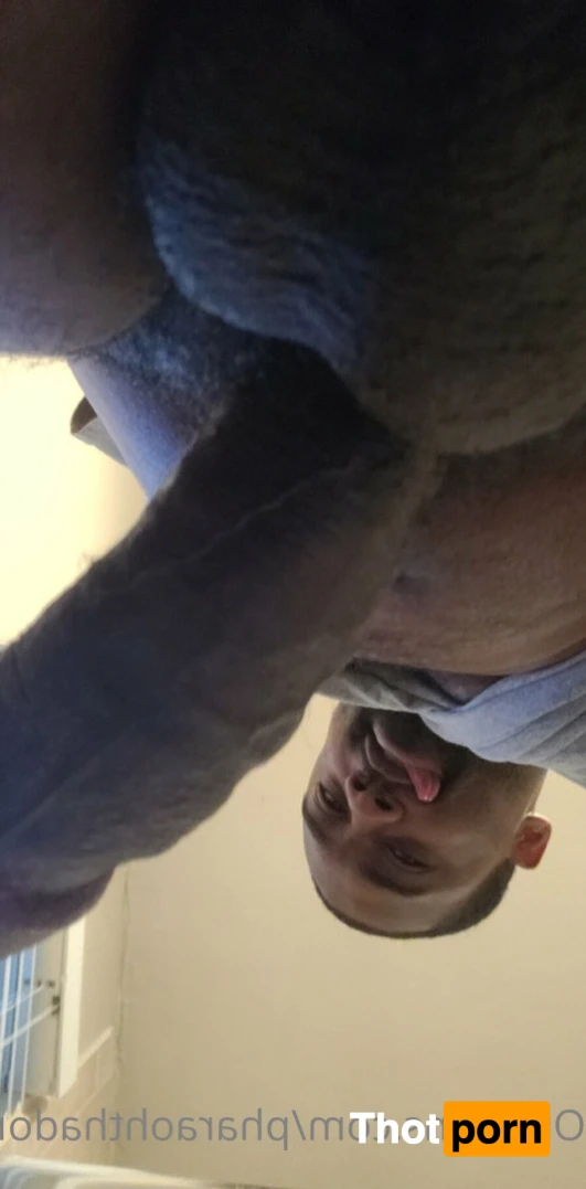 PHARAOH_THA_DOM 14950046