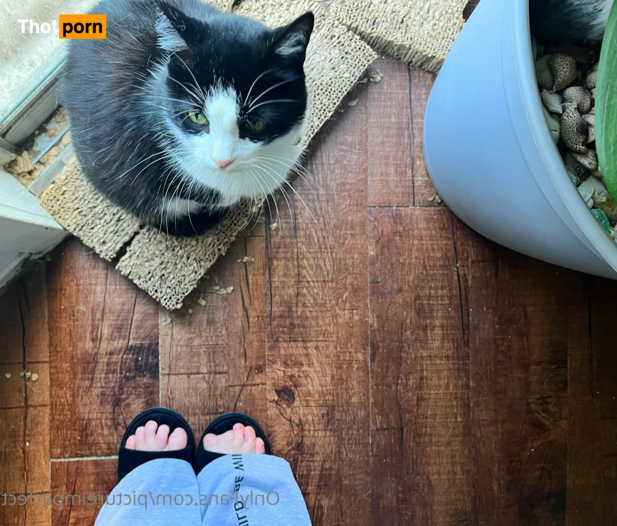 Picture Imperfect 14944028