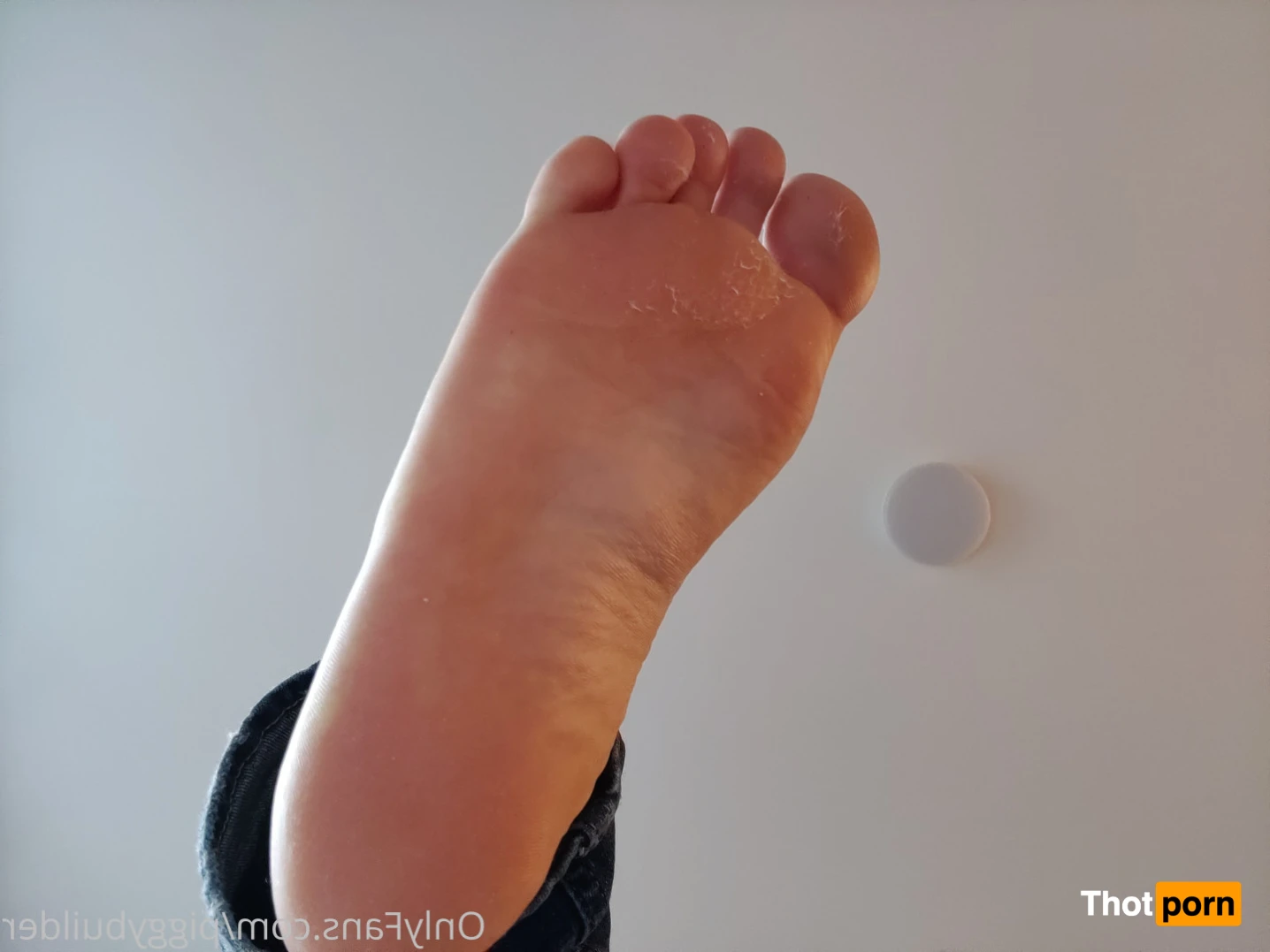 PiggyBuilder 14940613