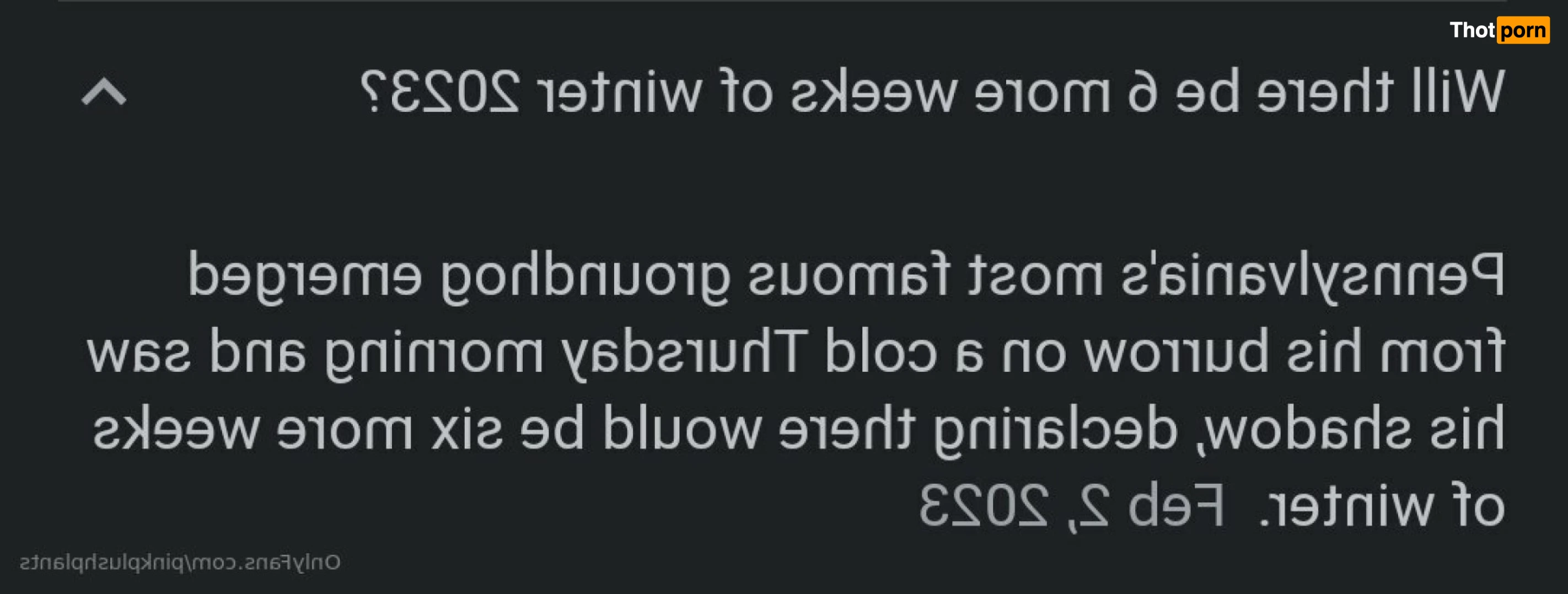 PinkPlushie 11026142