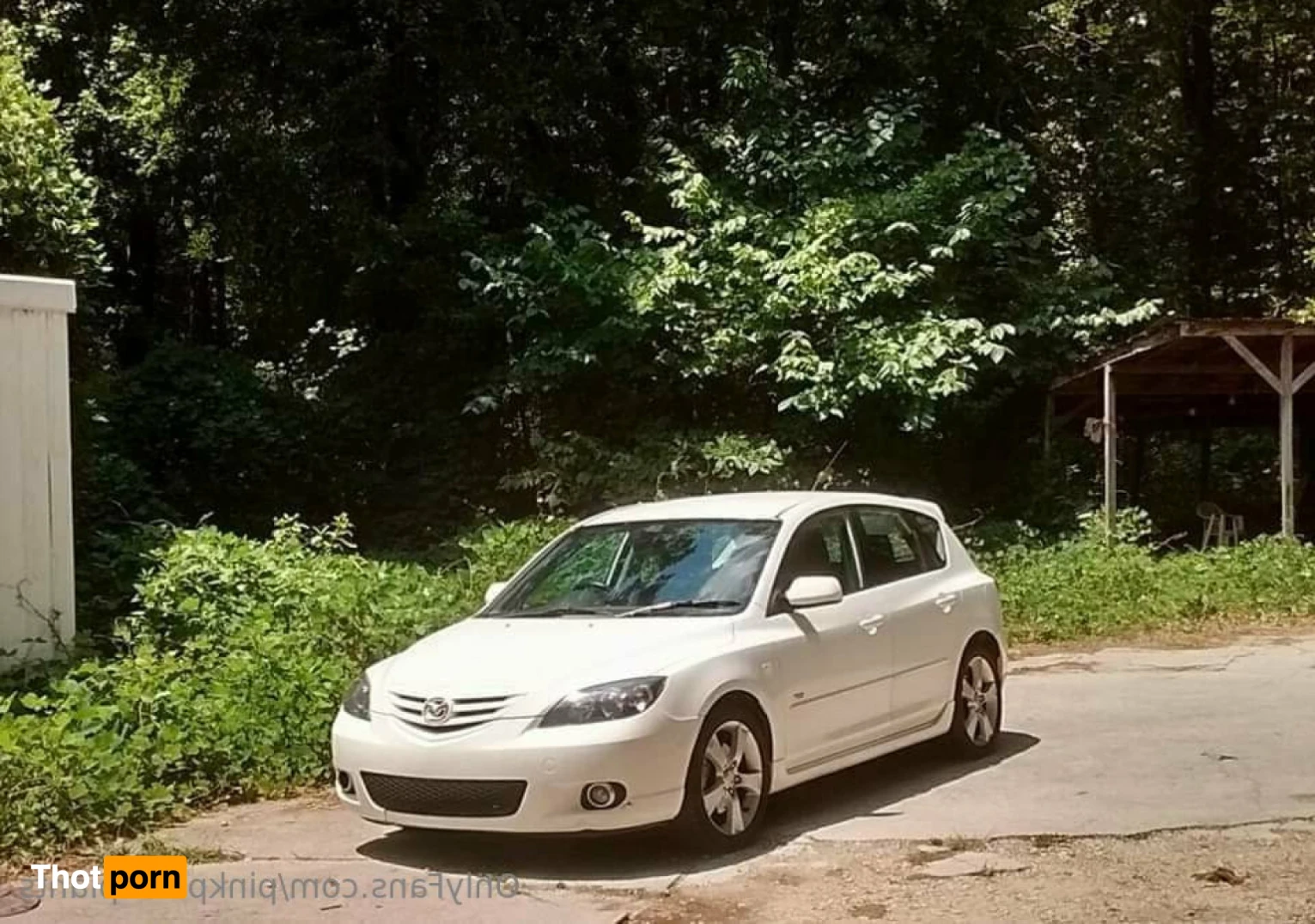 PinkPlushie 14845741