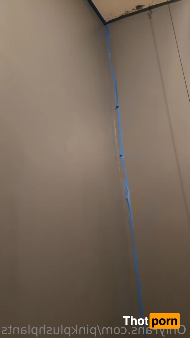 PinkPlushie 14845758