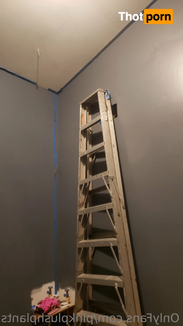 PinkPlushie 14845868