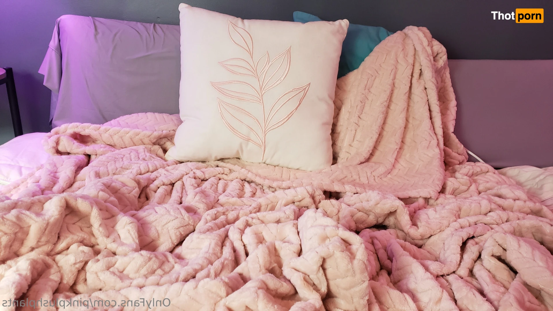 PinkPlushie 14845947