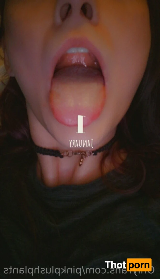 PinkPlushie 14846007