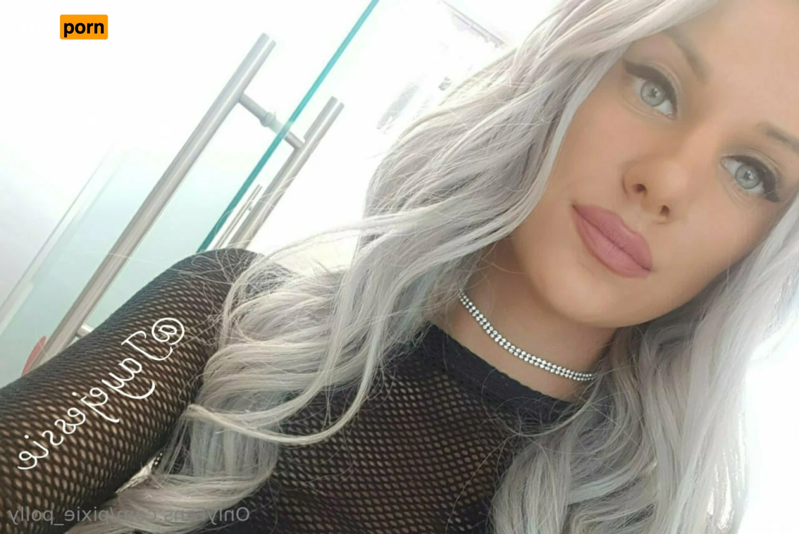 Polly🧚💜 14800665