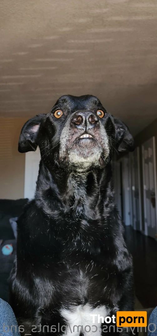 Plants and Piercings 14748739