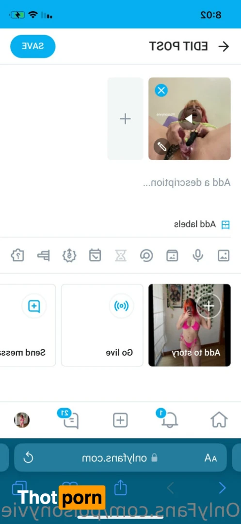 Yvie Velour🌹 14721325