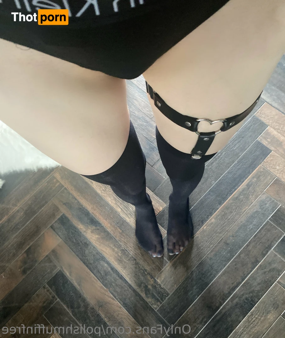 Polish Muffin 14718757