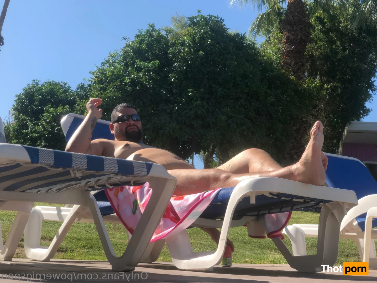 PowerPig🐷Chubbs 14608278