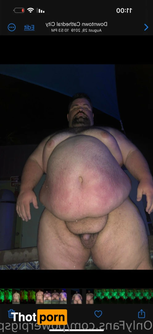 PowerPig🐷Chubbs 14608391