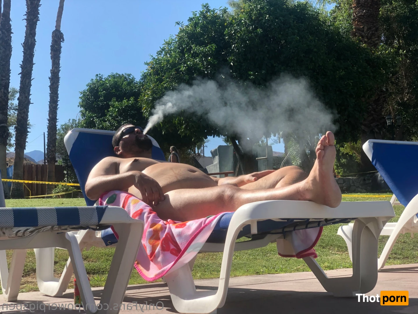 PowerPig🐷Chubbs 14608544