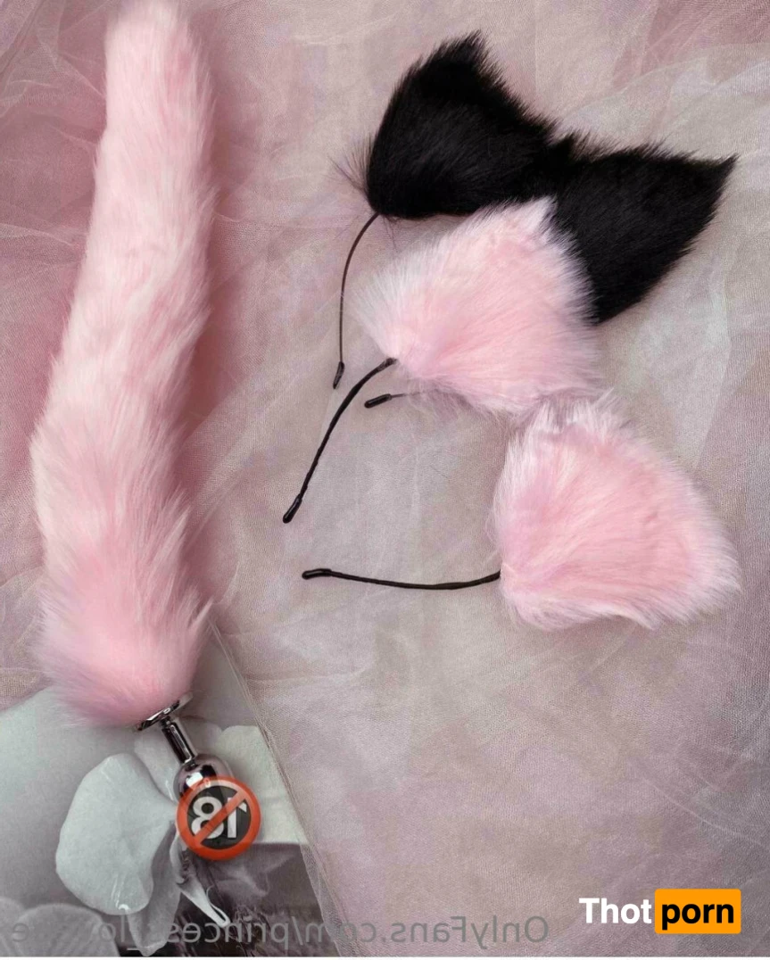 🎀𝒫𝓇𝒾𝓃𝒸𝑒𝓈𝓈 𝐿𝑜𝓁𝒾𝓉𝒶🎀 14463891