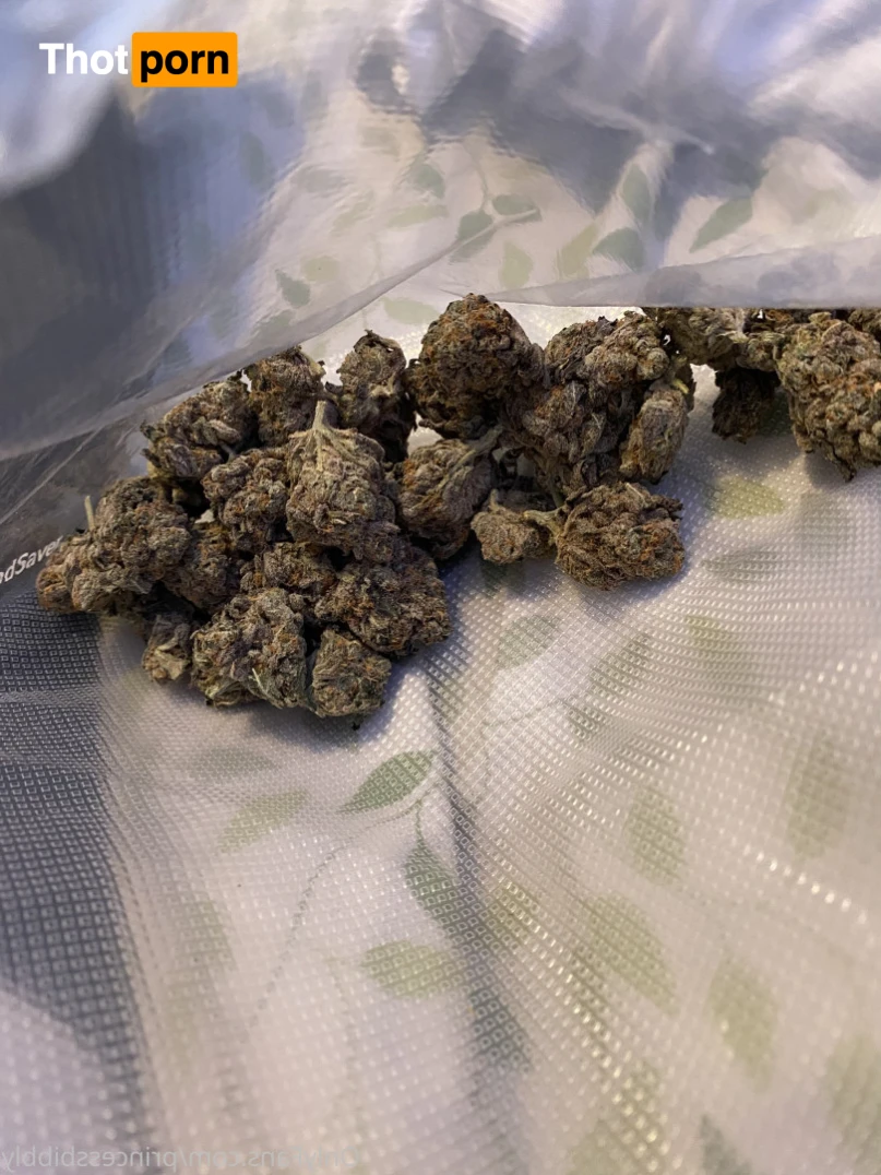 Princessbibbly Buttsex Paradise 14463296