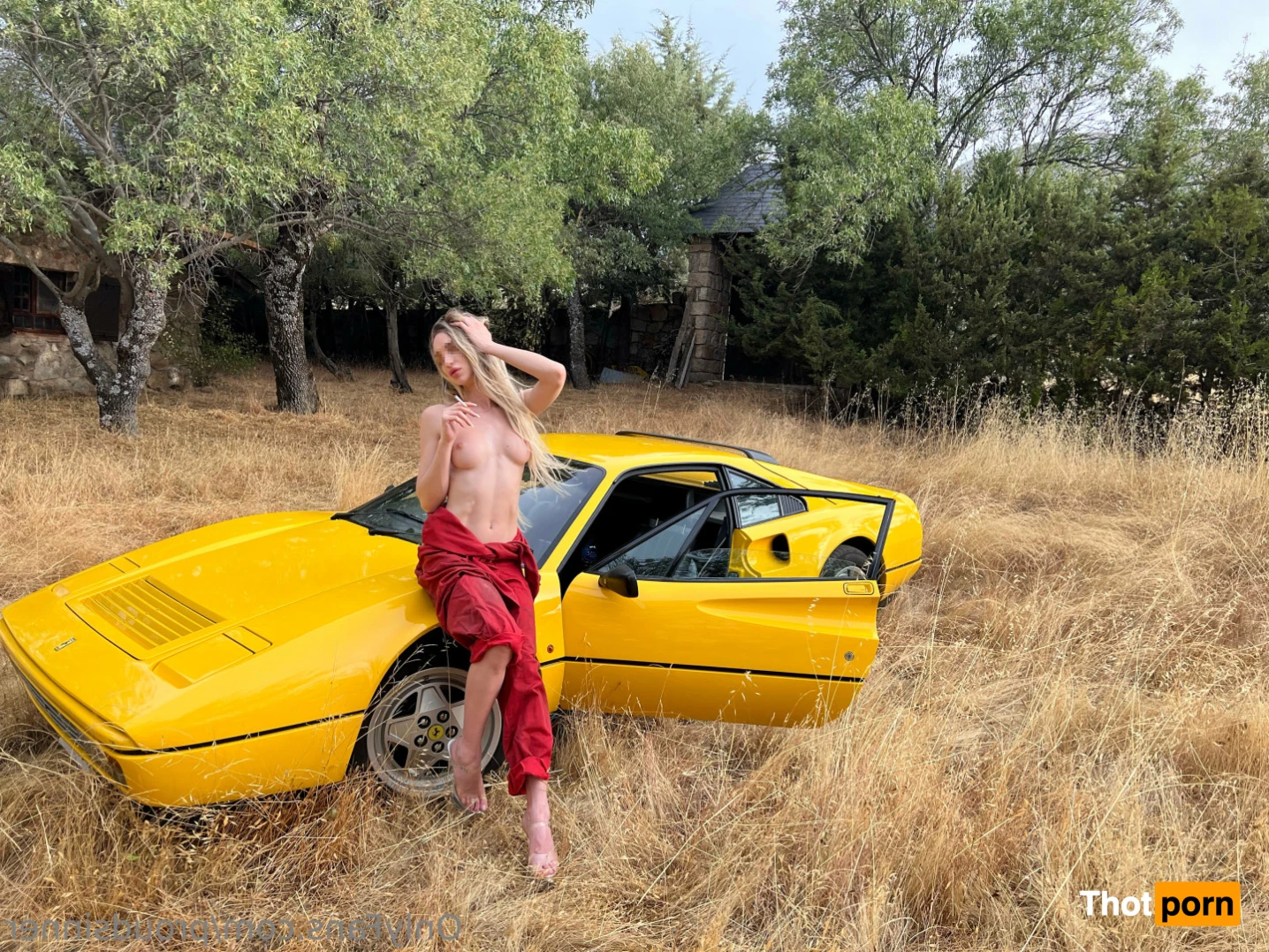 ProudSinner 14360374