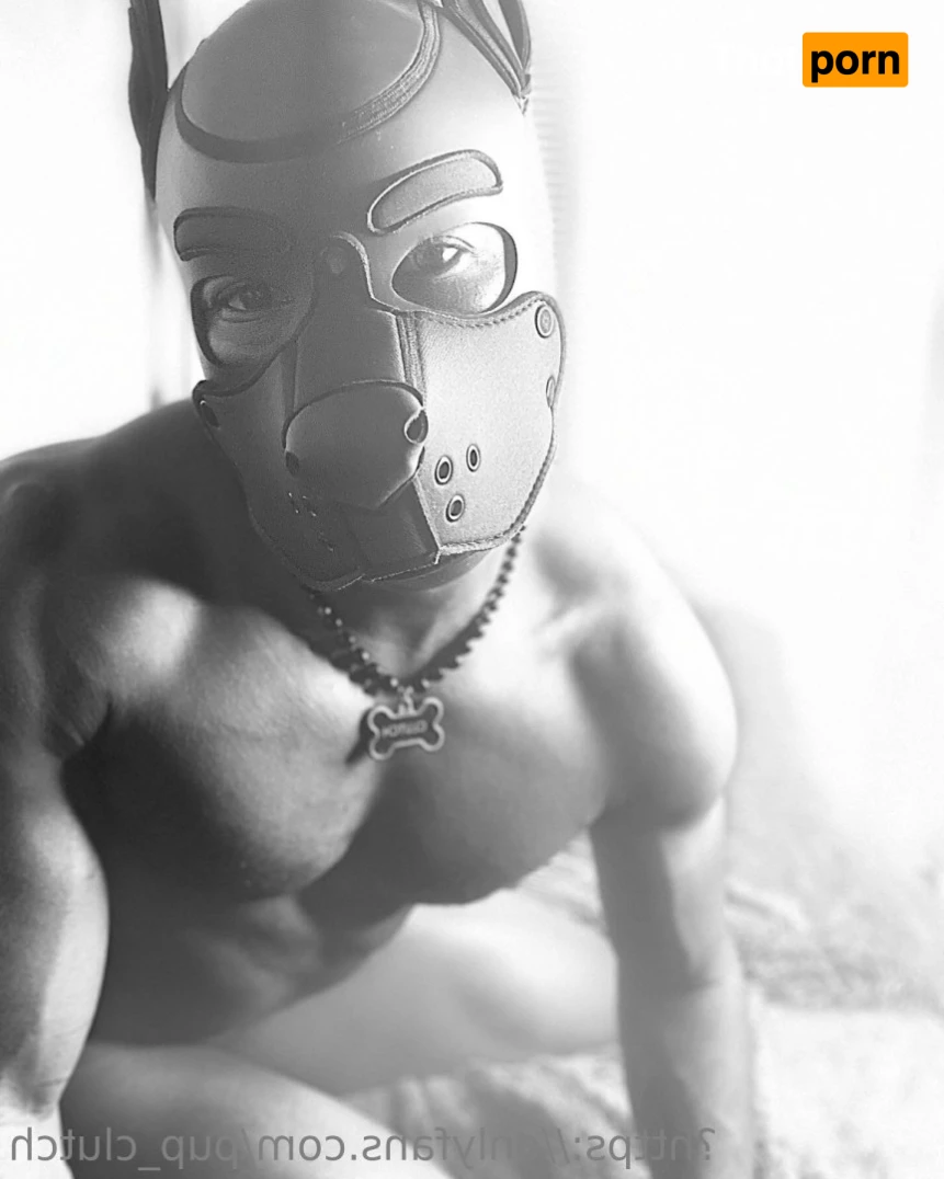 Jabarri Pup 14340768