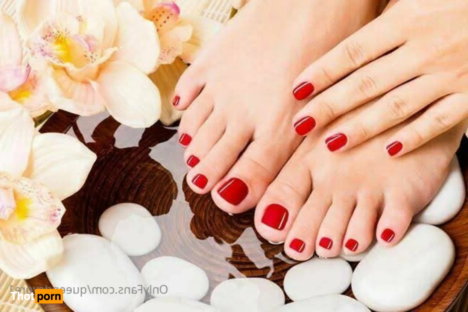 👑Queen Devore👑 14233326