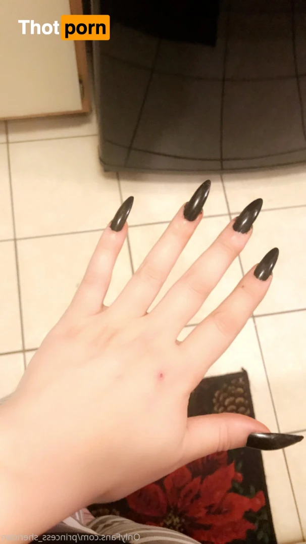 QueenSheridan 14115622