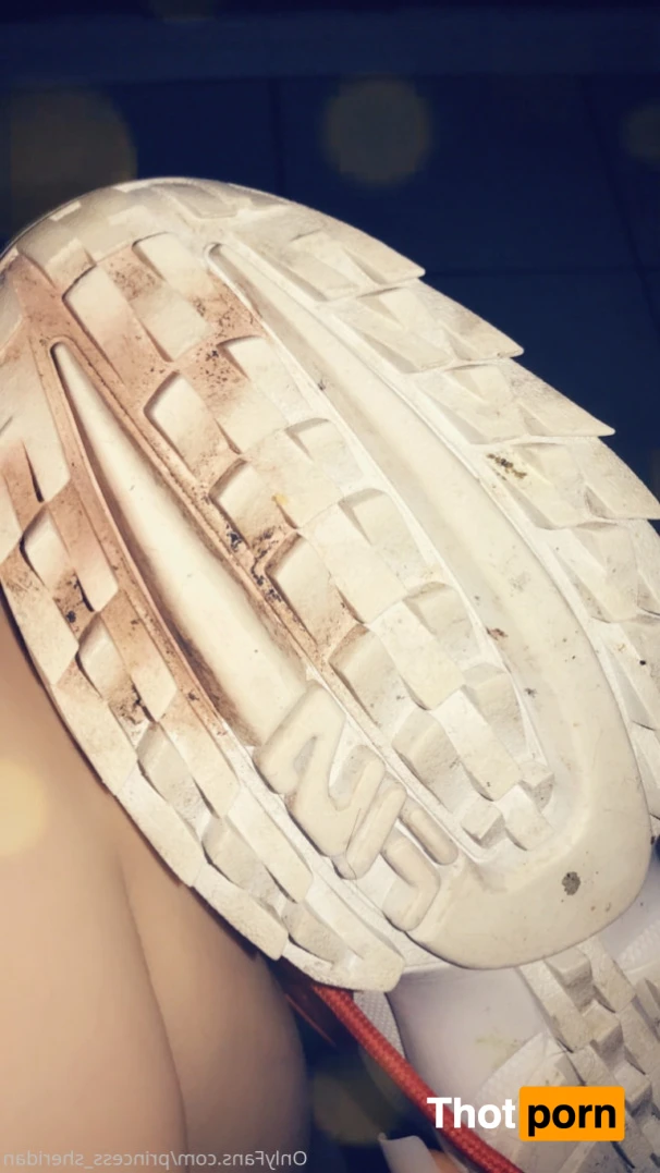 QueenSheridan 14115701