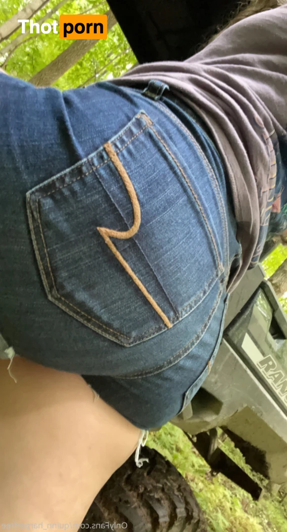 Quinn Harper 14113884