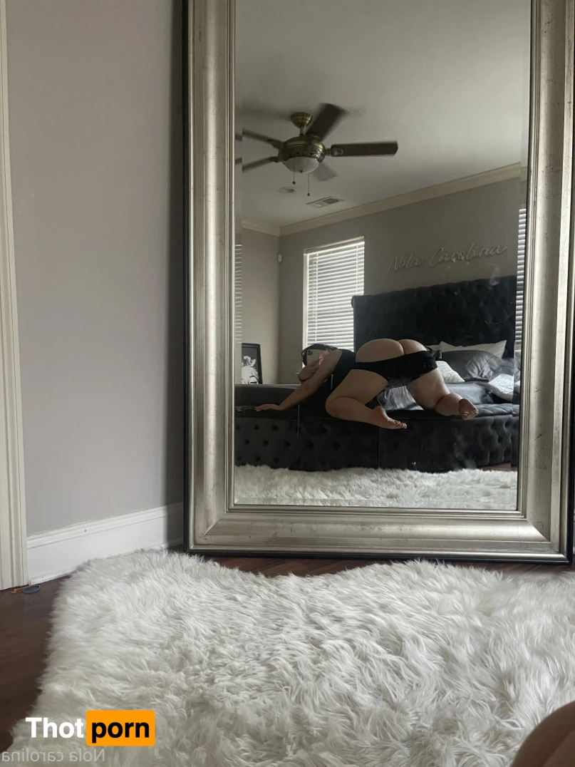 Nola carolina 11734803