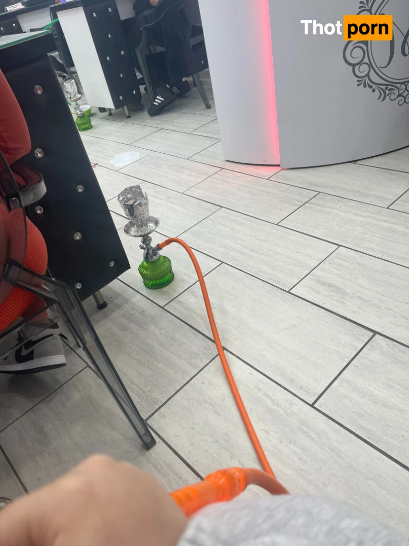 Nola carolina 11748507