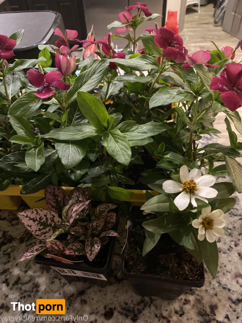 TheRealSkylerGray 13632526