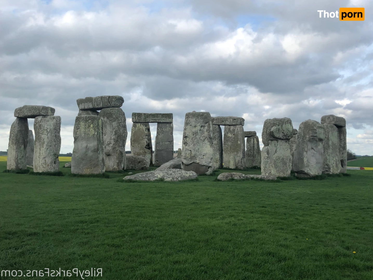 Riley Parks 13434937