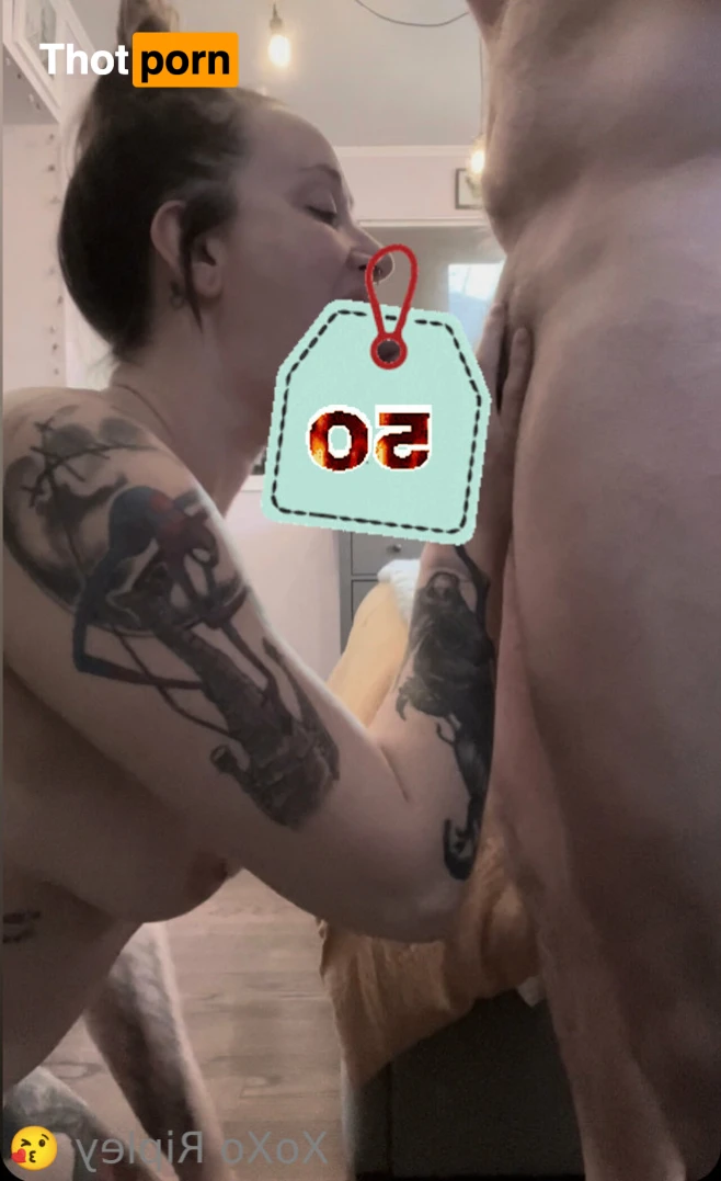 Ripley Alexandria 13325505