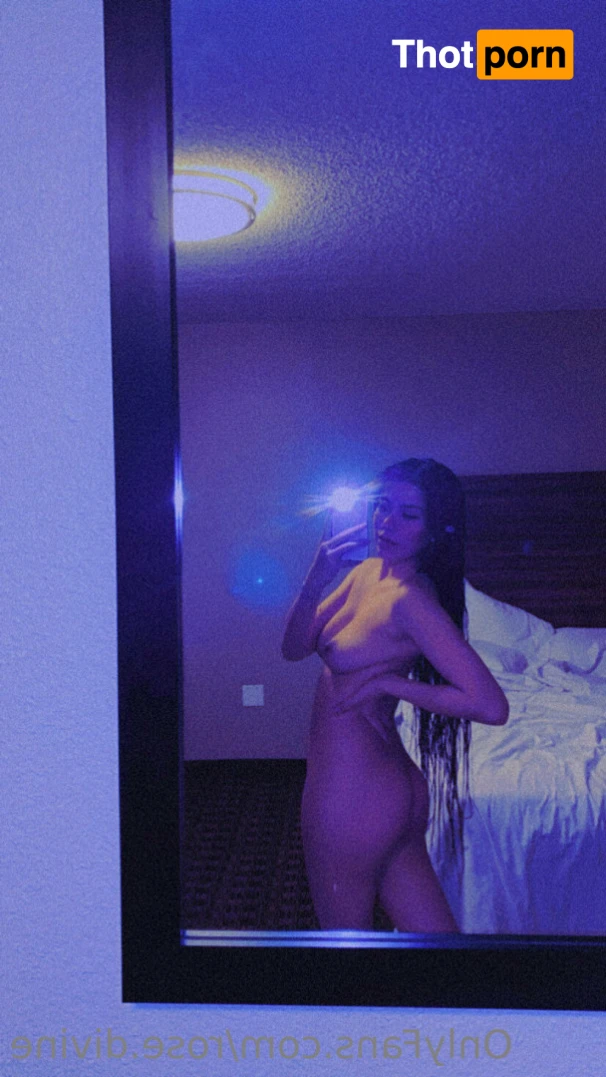 Rose Divine 13181793