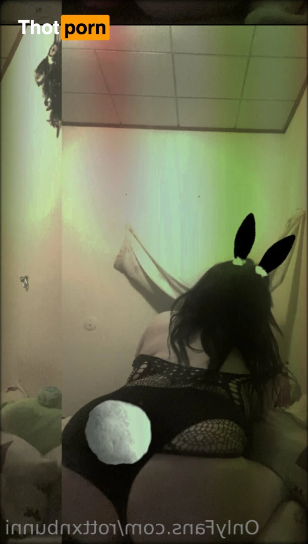 Bunni 13153560