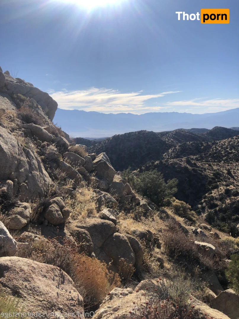 Saberonstage 12631460