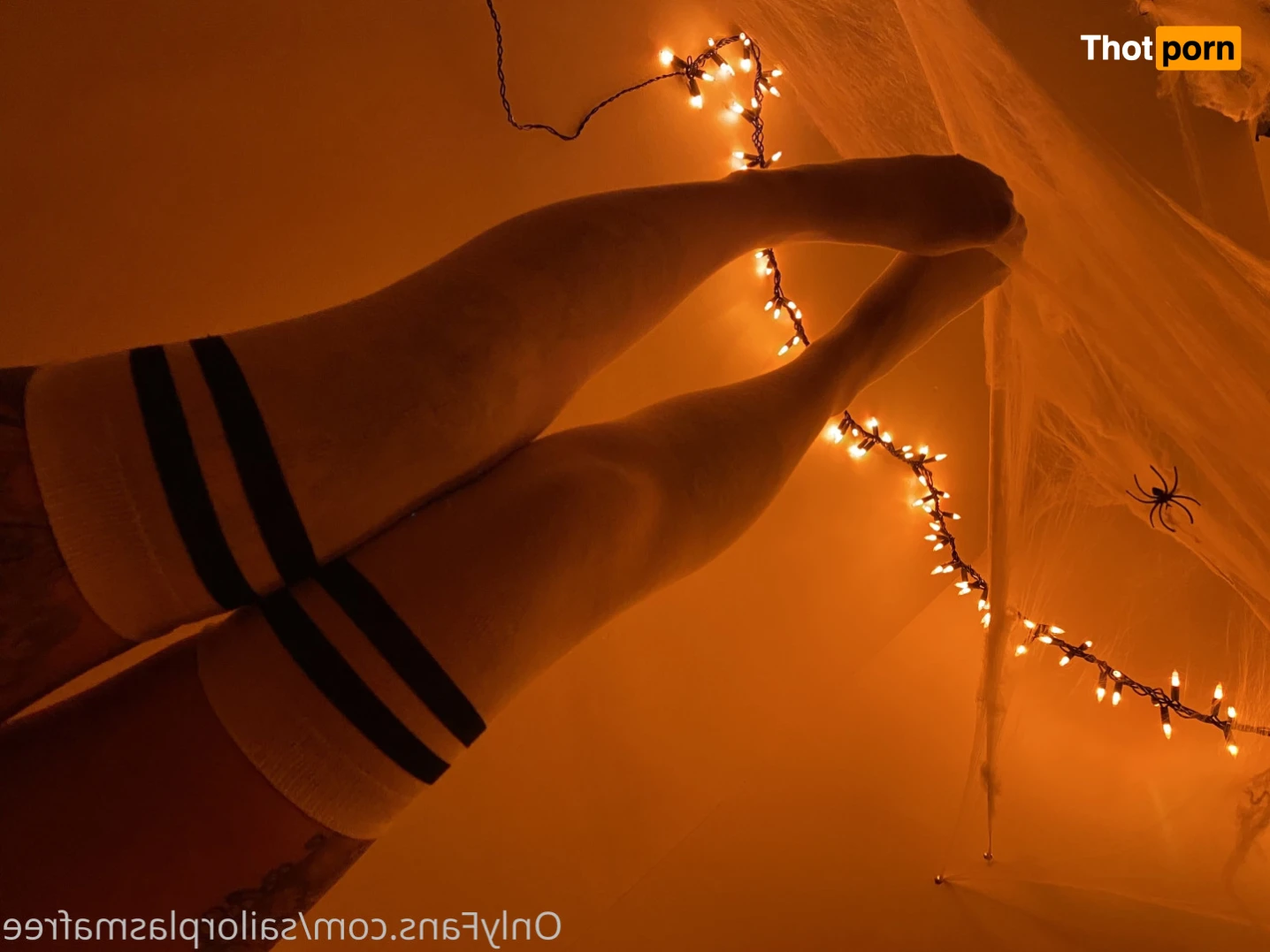 Sailor Plasma 12565191