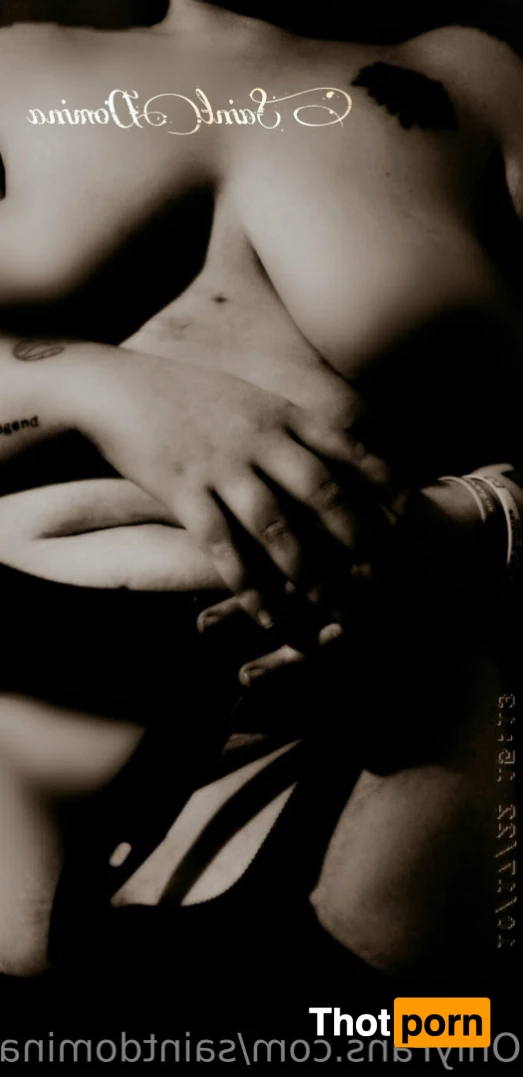 Sαιɳƚ Dσɱιɳα 12549461