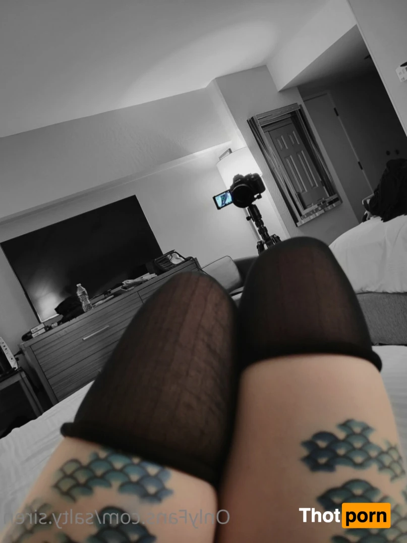 Salty Siren 12518946