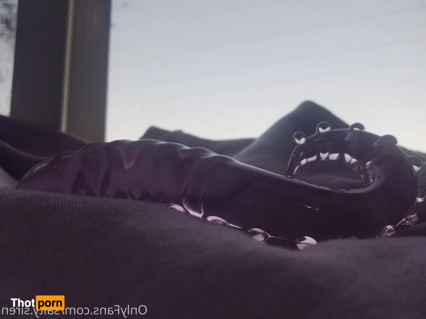 Salty Siren 12519323