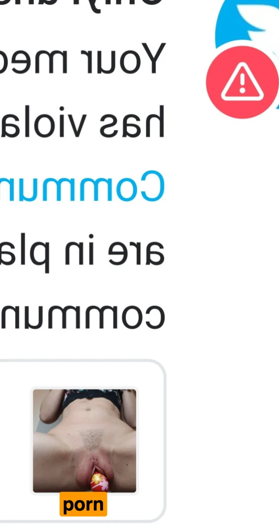 ⭐Sandy Ambrosia⭐ 12252415