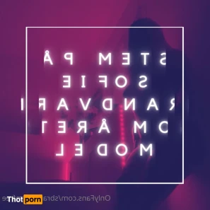 11388568