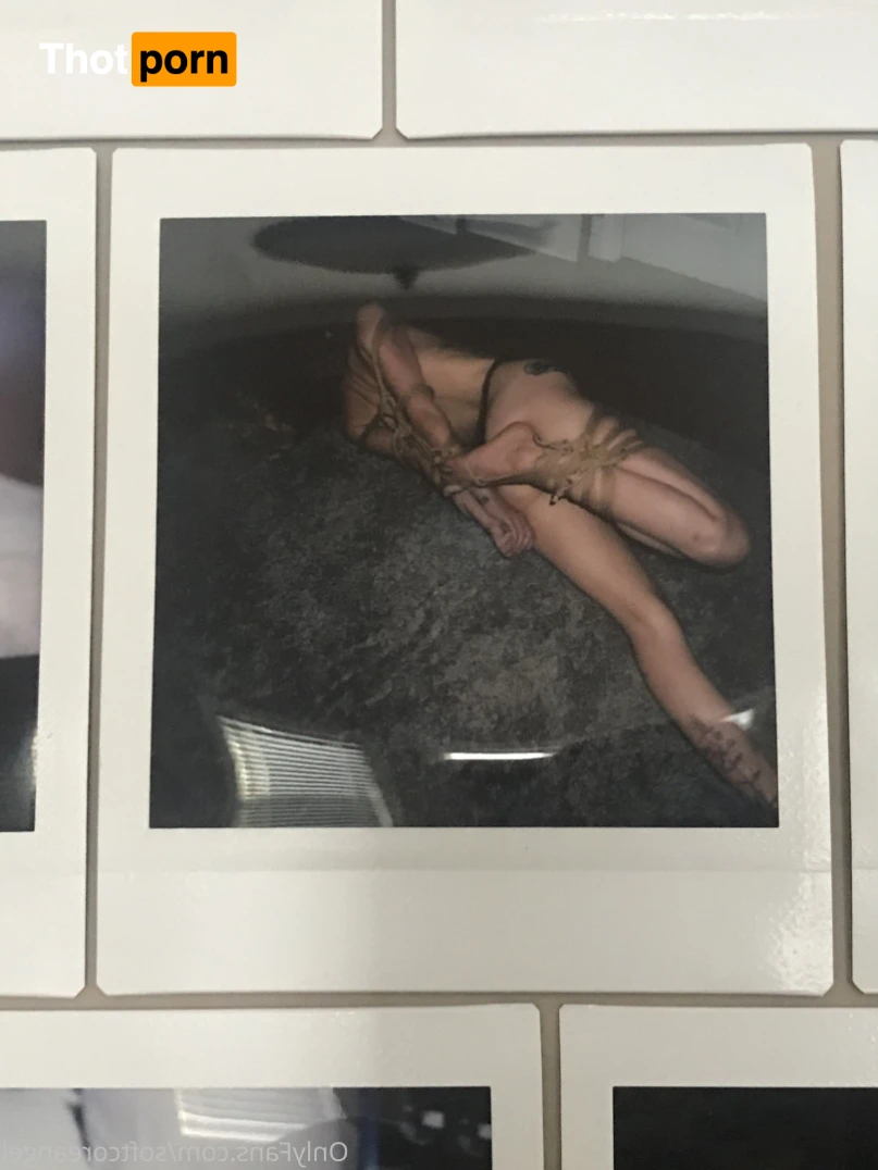 Lithe lite reels 11926128