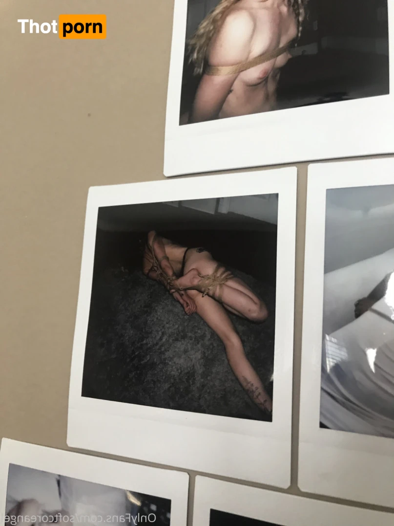 Lithe lite reels 11926278