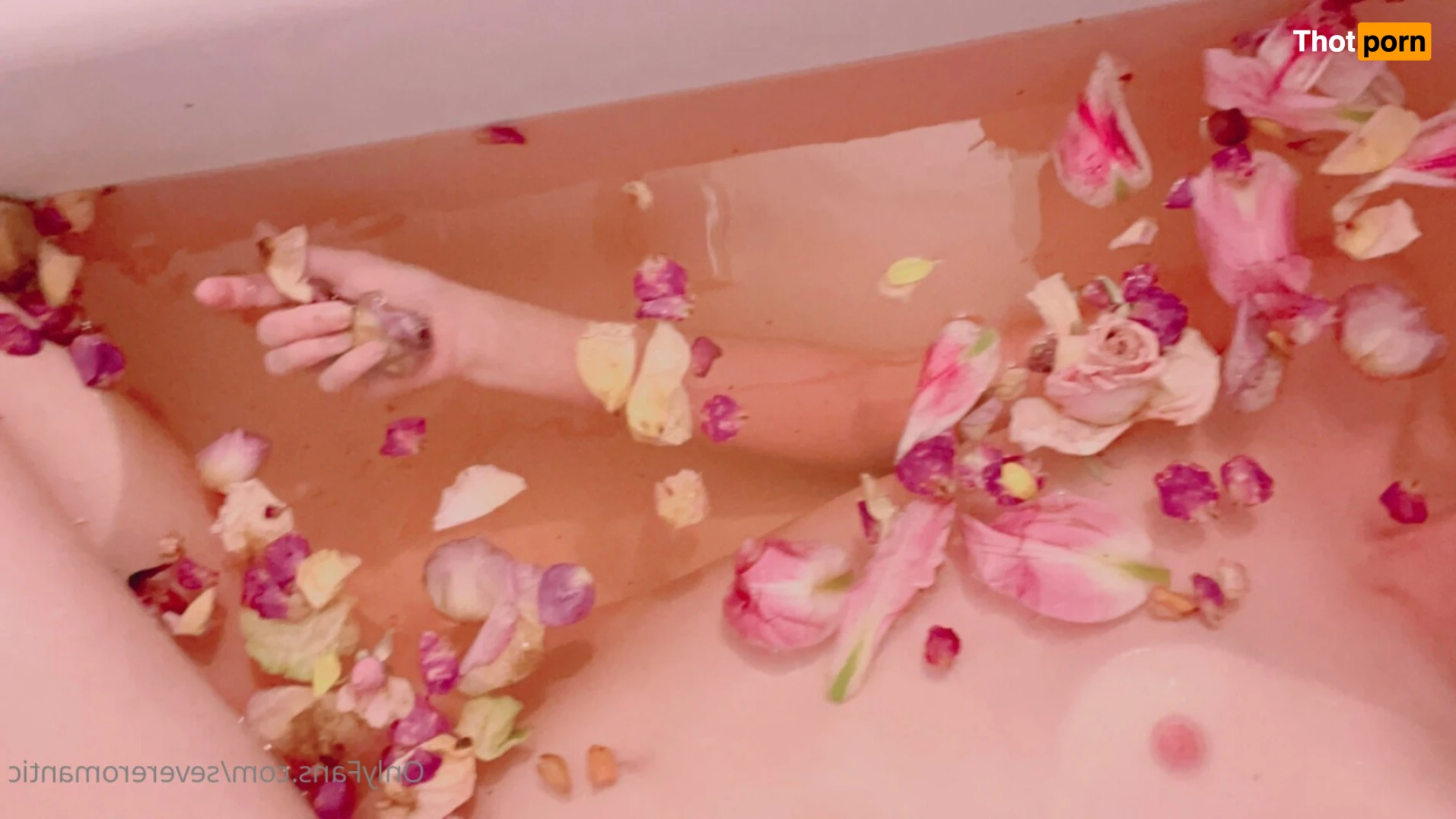 Lithe lite reels 11926467