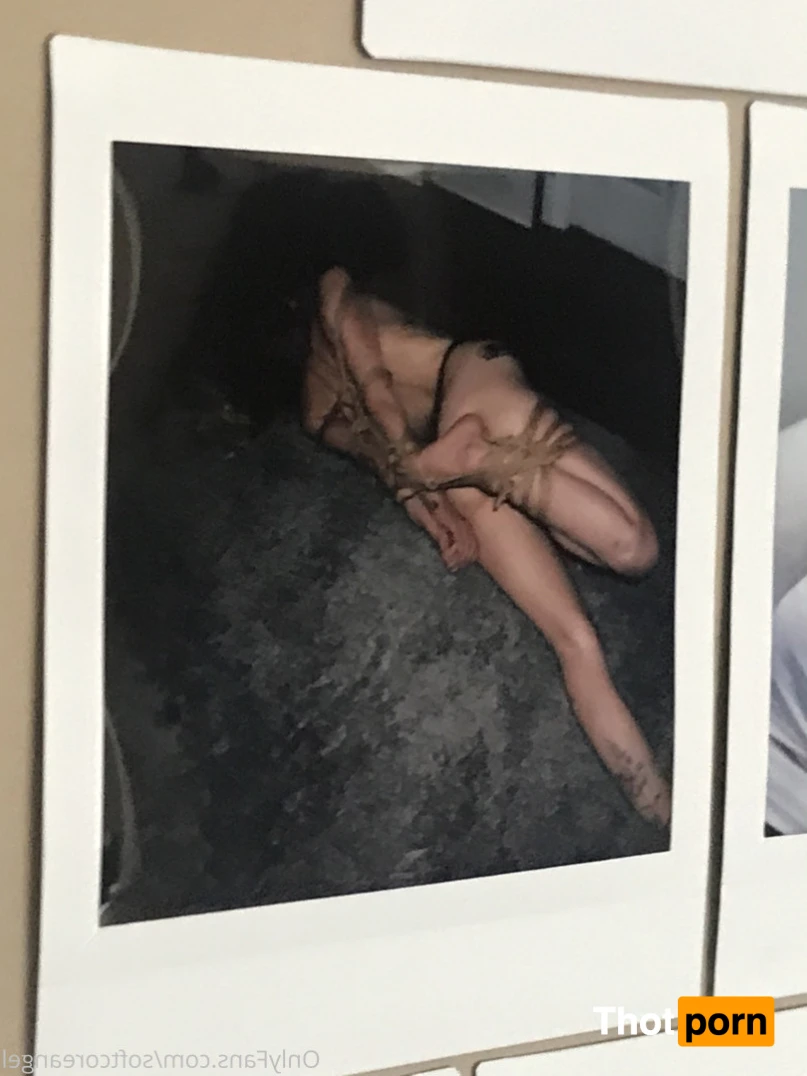 Lithe lite reels 12577540