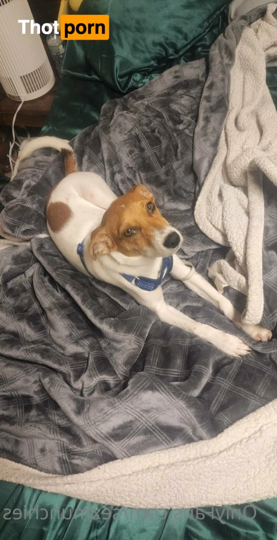 SexMunchies 11838388