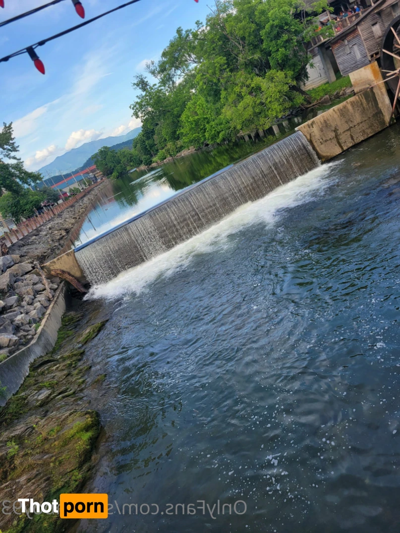 Horndog beefy 11435367